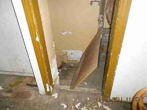 7485 American (12)_m.jpg